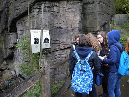 Op studiereis naar de zoo - Lommel