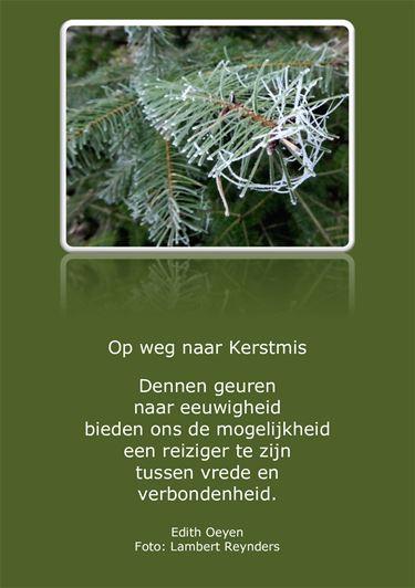 Op weg naar kerstmis - Beringen & Leopoldsburg