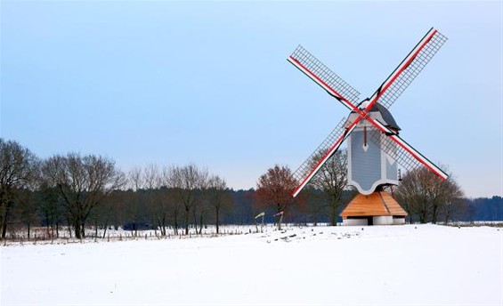 Op zijn nieuwe stek - Lommel