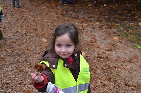 Op zoek in het bos - Hamont-Achel