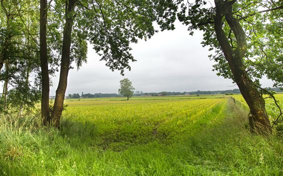 Op zoek naar horizonten - Lommel