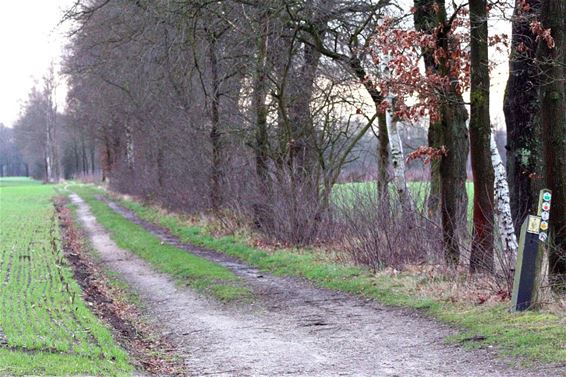 Op zoek naar trage wegen - Overpelt