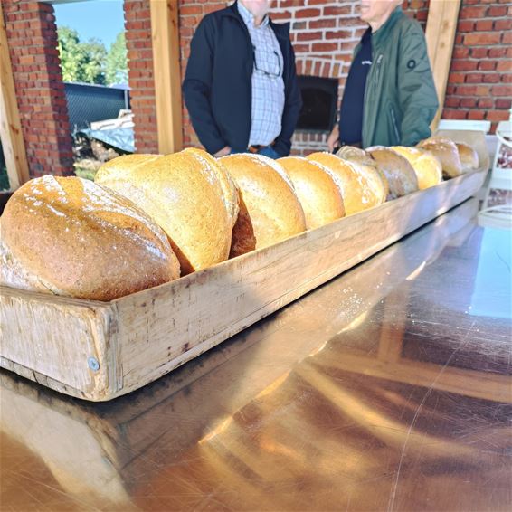 Open bakdag met masteluinbrood - Bocholt