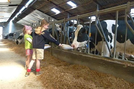 Open Boerderijdag in Gruitrode - Meeuwen-Gruitrode