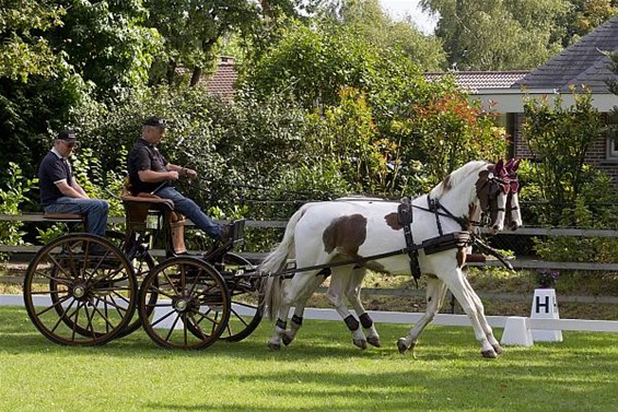 Open deur bij 'Jelle's Home' - Neerpelt