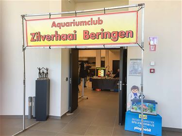 Open House aquariumclub Zilverhaai - Beringen
