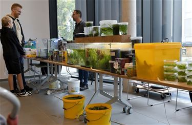Open House Zilverhaai - Beringen