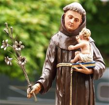 Open kerk voor jarige Antonius - Hamont-Achel