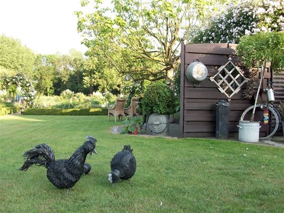 Open tuin bij de familie Swinnen-Peeters - Bree