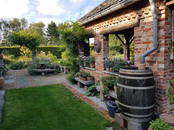 Open tuin bij Piet en Heleen - Hamont-Achel