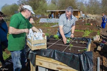 Open Tuin De Motten Beringen - Beringen