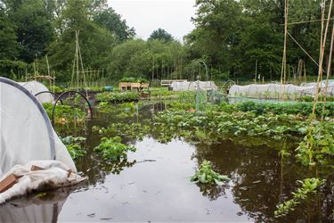 Opentuindag De Motten geannuleerd - Beringen