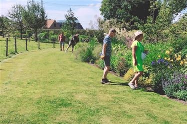 Open Tuinen weekend - Beringen & Leopoldsburg