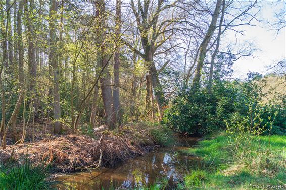 Openbaar onderzoek project Gortenloop (Hobos) - Pelt
