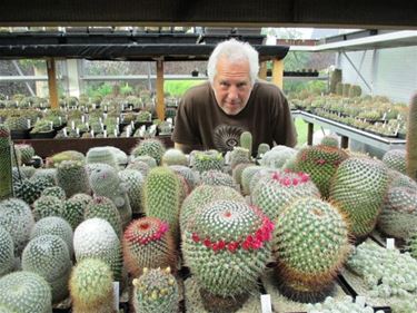 Opendeur bij cactuskwekers - Beringen & Leopoldsburg