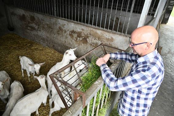 Opendeur 't Kasteeltje Beverlo en Stalse Schans - Beringen