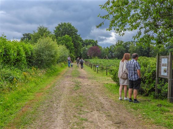 Opendeurdag Blueberry Fields - Beringen