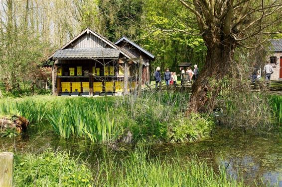 Opendeurdag Imkerbond 'De heidebloem' - Lommel