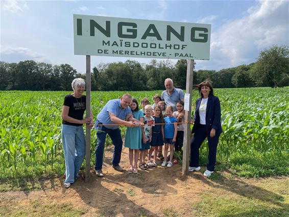 Opening maïsdoolhof De Merelhoeve - Beringen