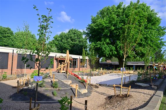 Opening nieuwe school onder magische eik - Beringen