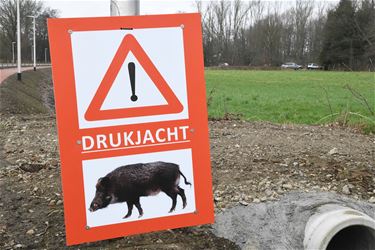 Opgelet voor drukjachten - Hechtel-Eksel & Beringen