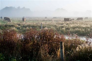 Opheffing captatieverbod beken en rivieren