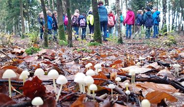 Vrijwilligers gezocht met hart voor natuur - Lommel