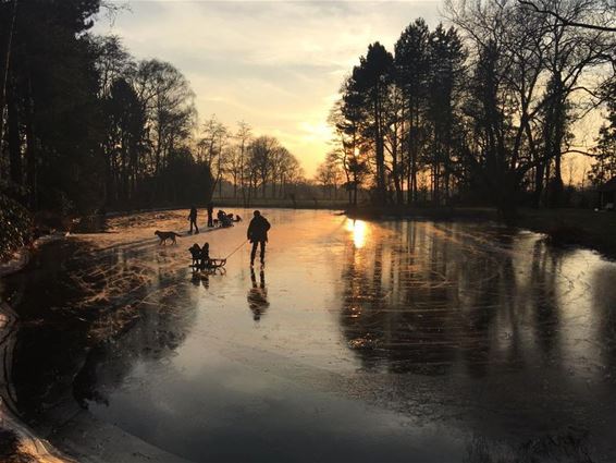 Opletten met het ijs - Neerpelt