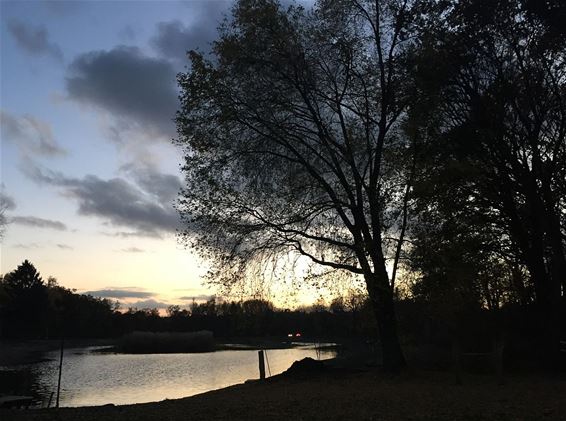 Opnieuw water in de Bevervijver - Hamont-Achel