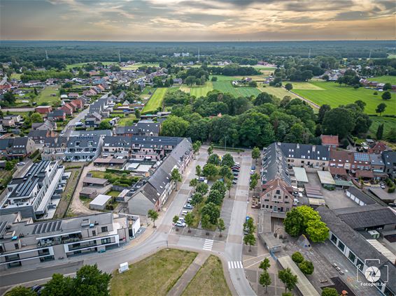 Oproep: Help 't Lindel met de roekenproblematiek - Pelt