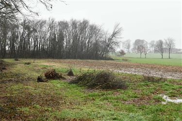 Oproep om grasstroken niet te betreden - Beringen & Leopoldsburg