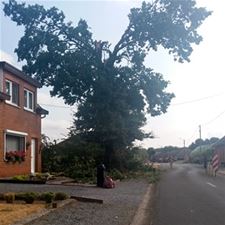 Oproepen voor lichte stormschade - Beringen