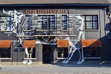 Opvallend 'beest' in centrum - Lommel