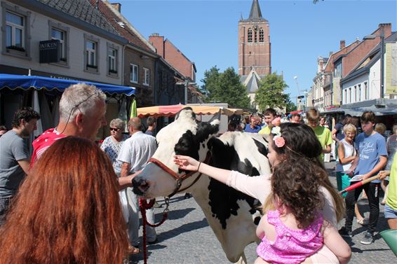 10.000 bezoekers voor Maïsdoolhof verwacht - Peer