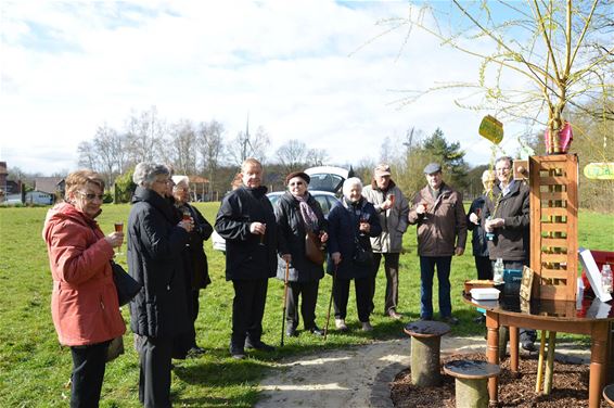 Oud-scouts planten vriendschapsboom - Beringen