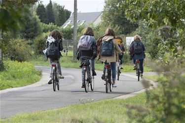 Oude Baan wordt fietsstraat - Beringen