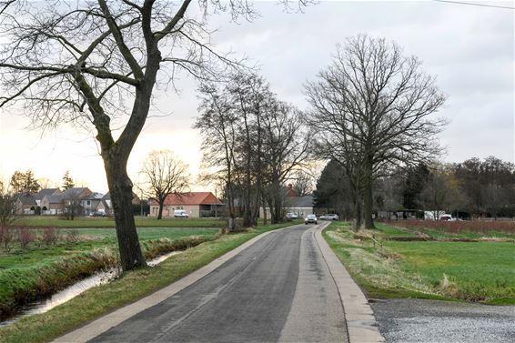 Oude Baan wordt fietsstraat - Beringen