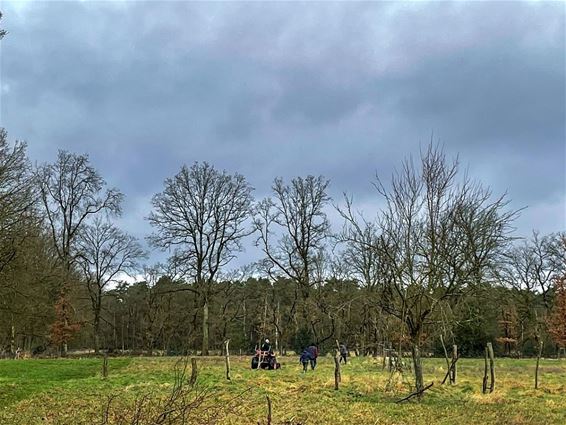 Oude fruitboomsoorten in het Hobos - Pelt