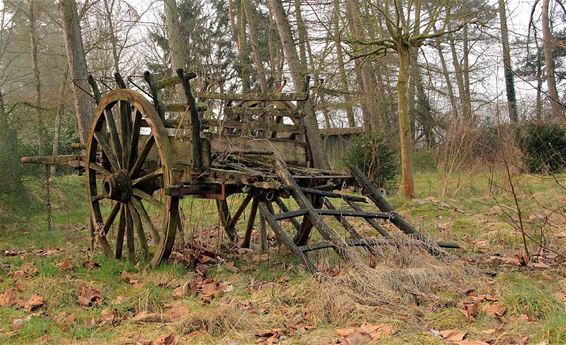 Oude karren lopen het langst... - Hamont-Achel