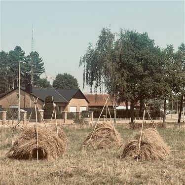 Ouderwetse hooimijt - Beringen