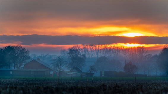 Over de Hamontsche velden... - Hamont-Achel