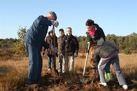 Over het pijpenstrootje en de heivlinder - Hamont-Achel