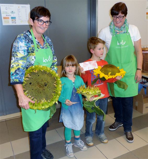 Over ijsjes en zonnebloemen - Overpelt