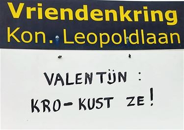 Over kussen en krokussen - Lommel