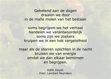 Over twijfels en liefde - Beringen