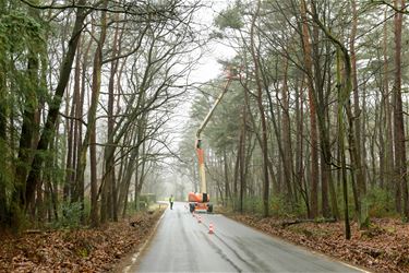 Overeenkomsten voor natuurwerken - Beringen