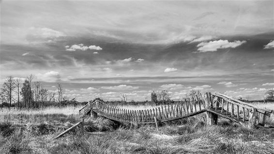 Overpeltenaar wint fotowedstrijd Hageven - Overpelt