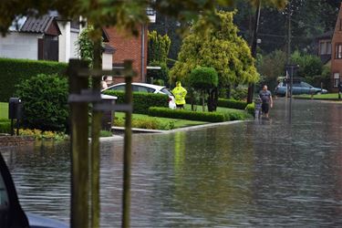 Overvloedige regenval erkend als ramp - Beringen