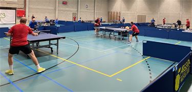Hechtel-Eksel - Overwegend succes voor TTC Hechtel-Eksel