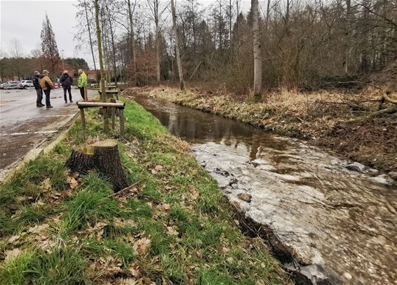 Paairiffels in de Warmbeek - Pelt